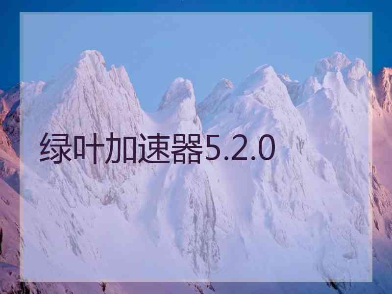 绿叶加速器5.2.0