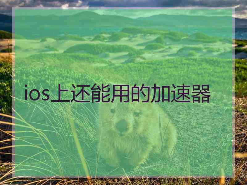 ios上还能用的加速器