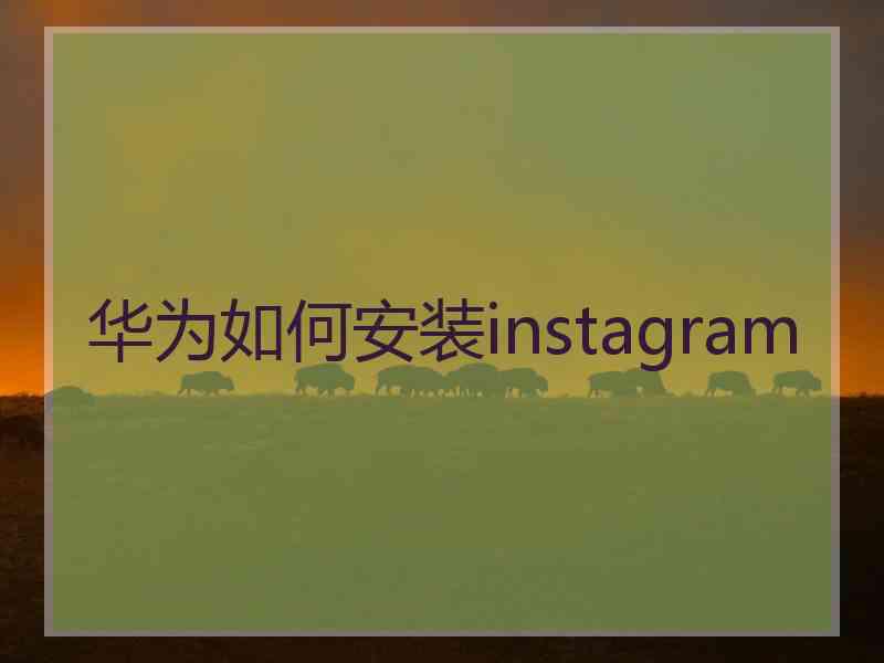 华为如何安装instagram