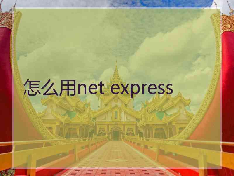 怎么用net express