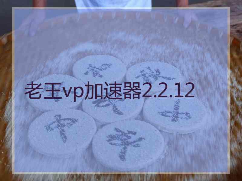 老王vp加速器2.2.12