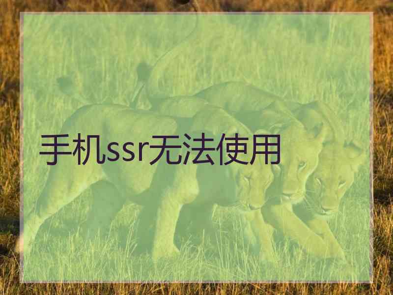 手机ssr无法使用