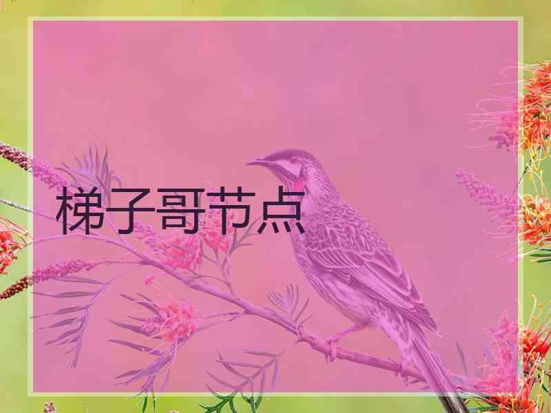 梯子哥节点