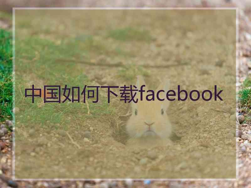 中国如何下载facebook