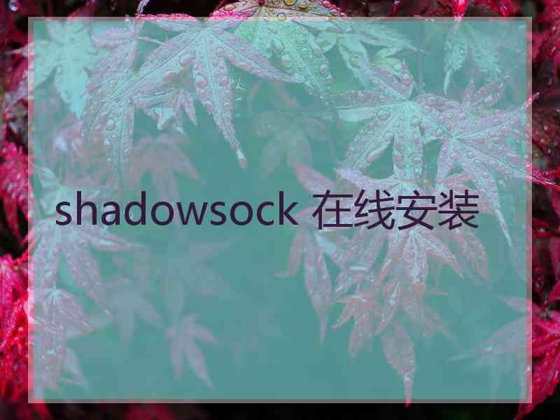 shadowsock 在线安装