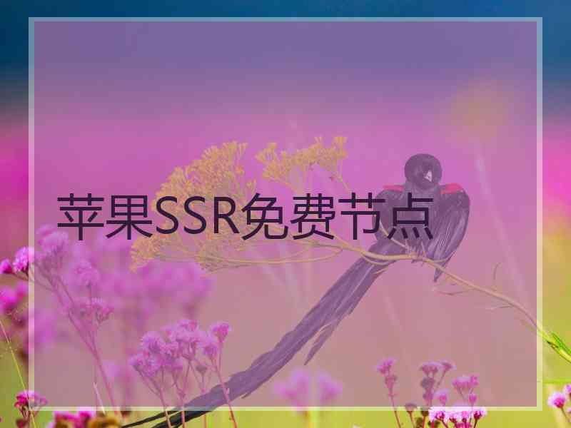 苹果SSR免费节点