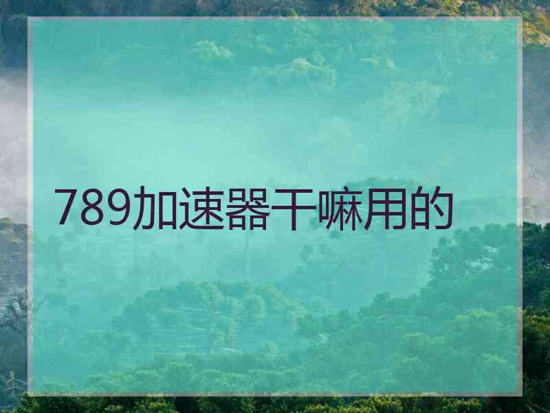 789加速器干嘛用的