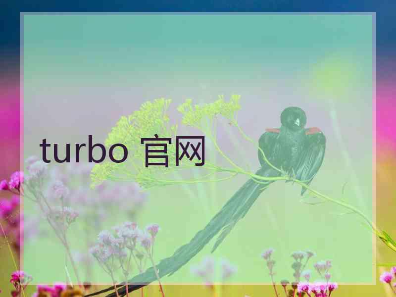 turbo 官网