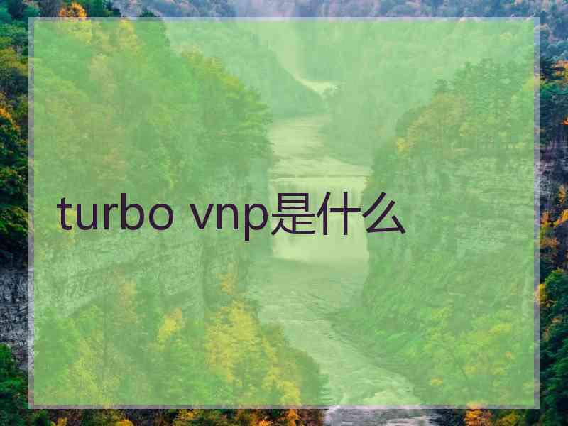 turbo vnp是什么