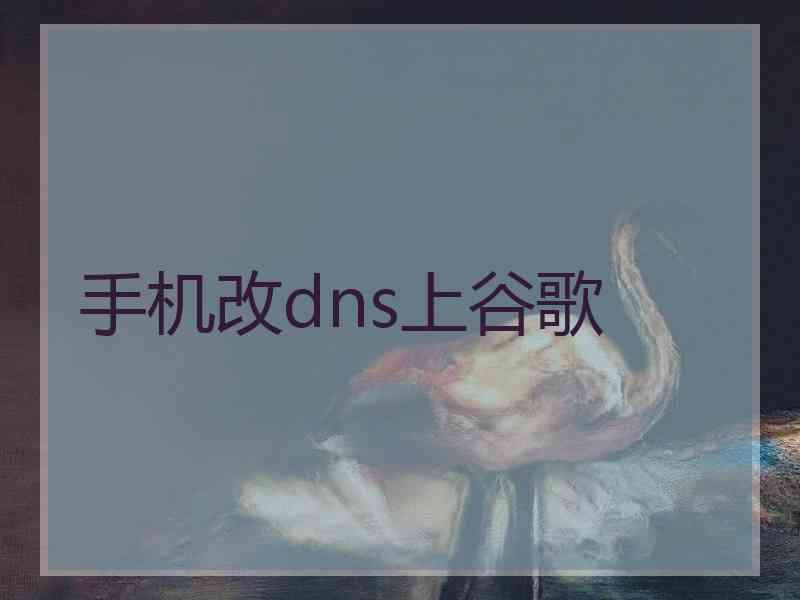 手机改dns上谷歌