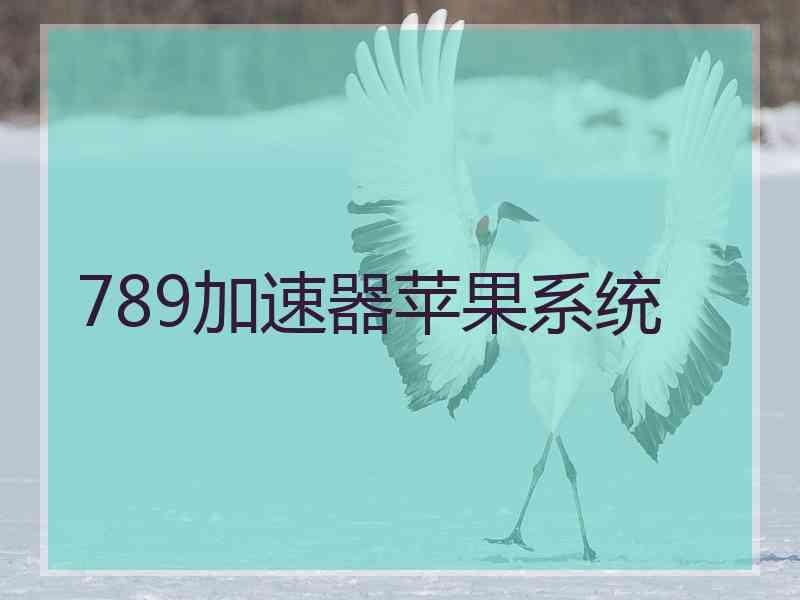 789加速器苹果系统