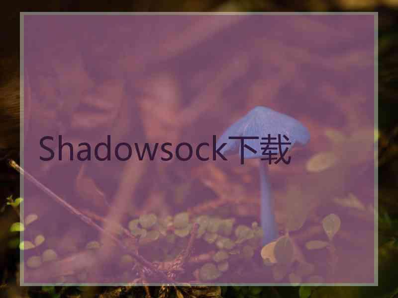 Shadowsock下载