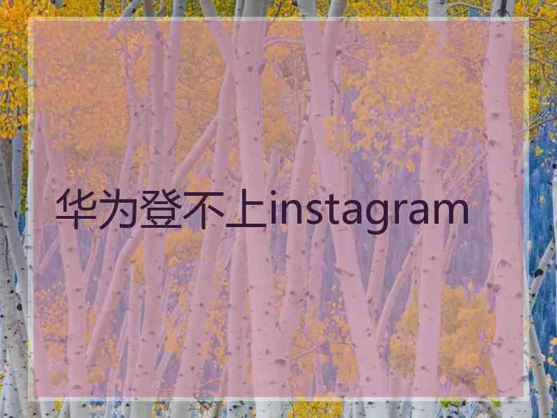 华为登不上instagram