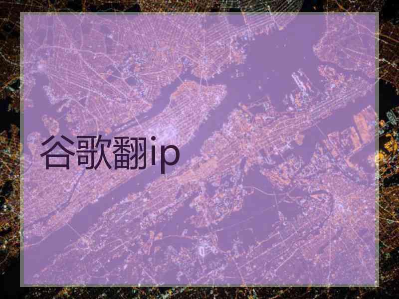 谷歌翻ip