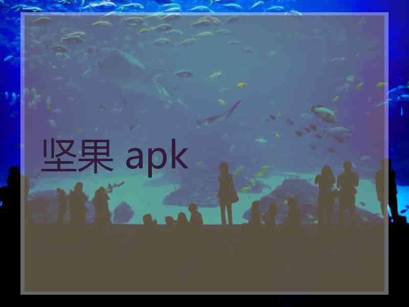 坚果 apk