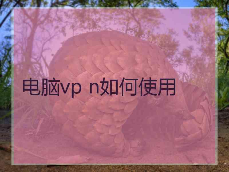 电脑vp n如何使用