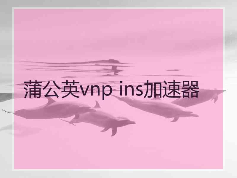 蒲公英vnp ins加速器