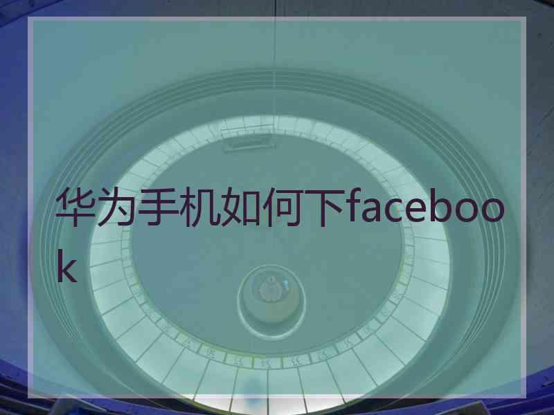 华为手机如何下facebook