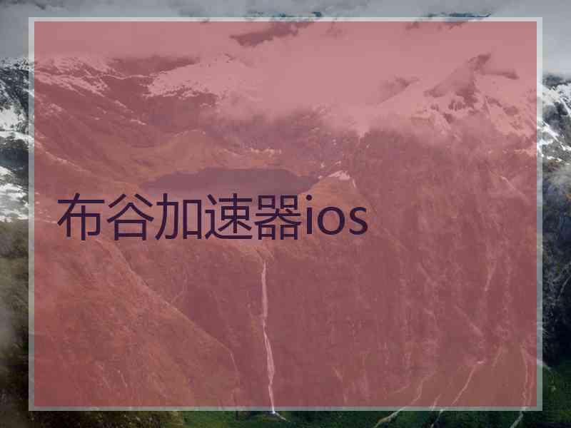 布谷加速器ios