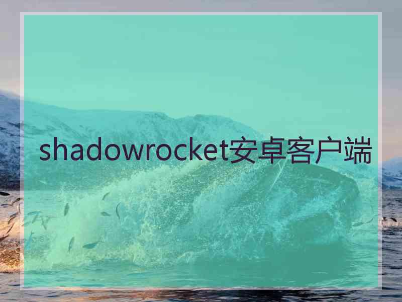 shadowrocket安卓客户端