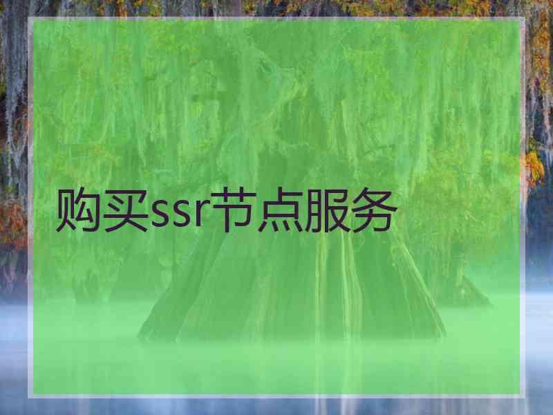 购买ssr节点服务