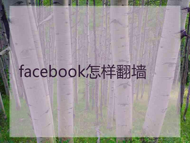 facebook怎样翻墙