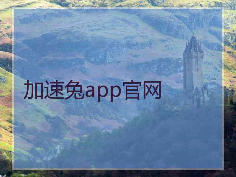 加速兔app官网