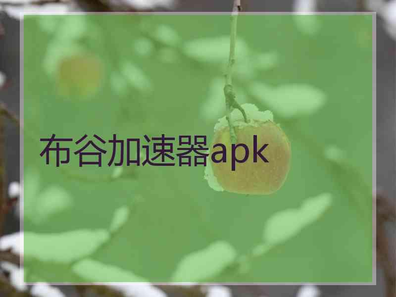 布谷加速器apk