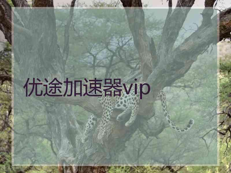 优途加速器vip