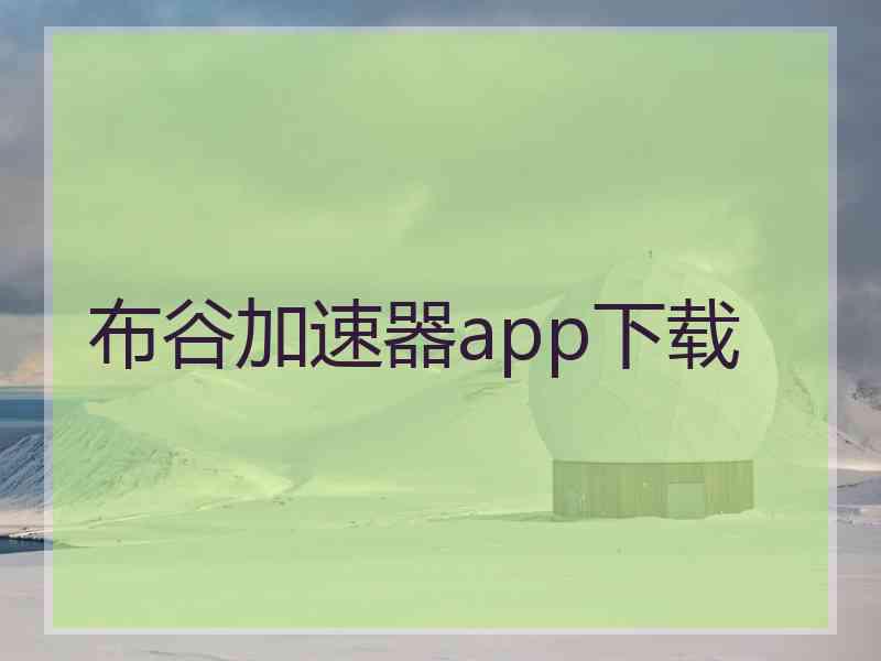 布谷加速器app下载