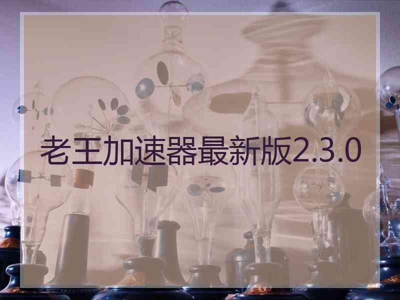 老王加速器最新版2.3.0