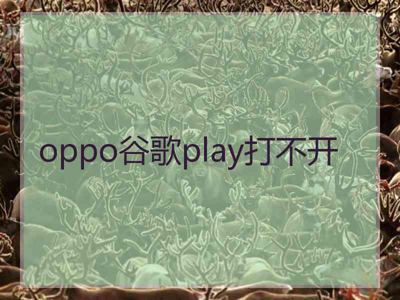 oppo谷歌play打不开