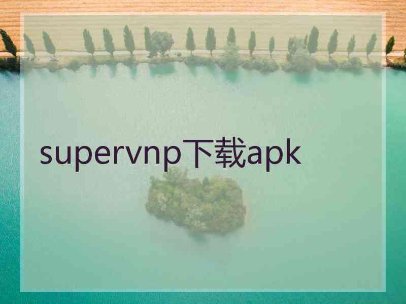 supervnp下载apk