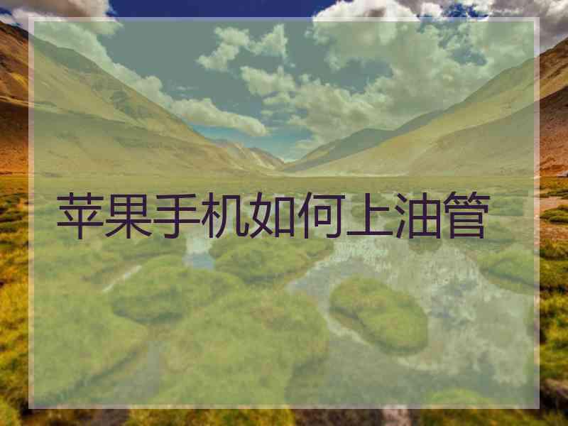 苹果手机如何上油管