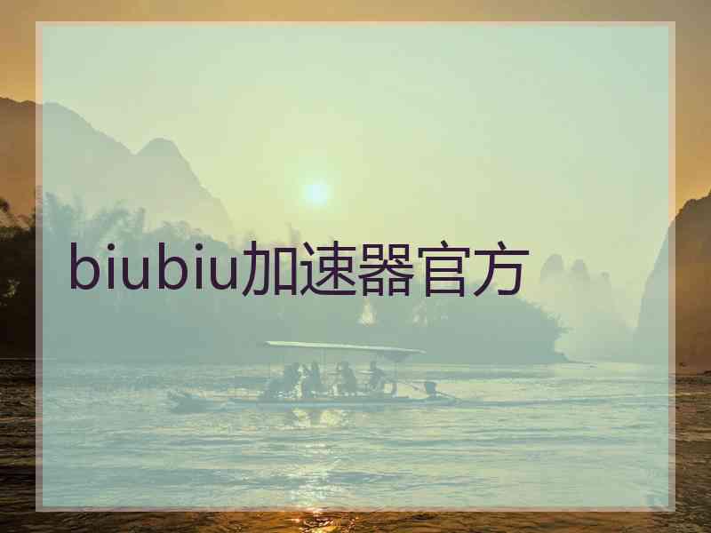 biubiu加速器官方