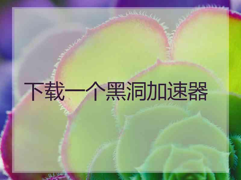 下载一个黑洞加速器