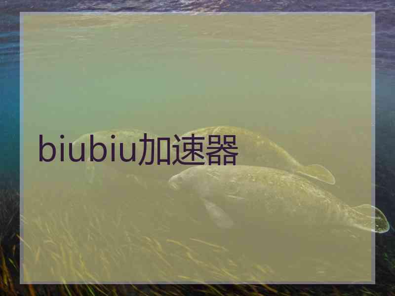 biubiu加速器