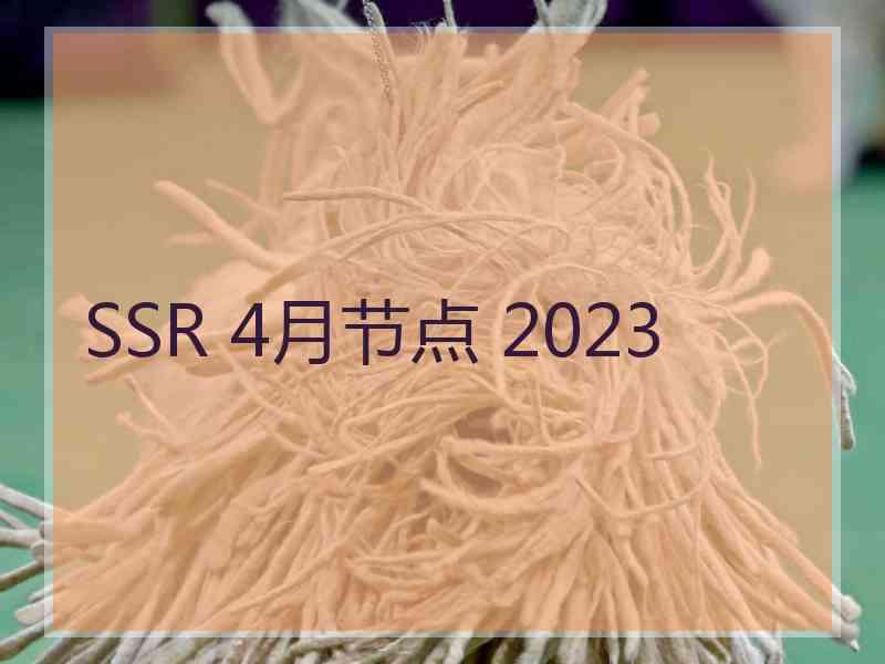 SSR 4月节点 2023