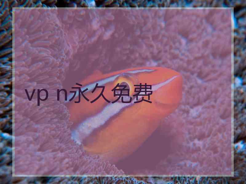 vp n永久免费