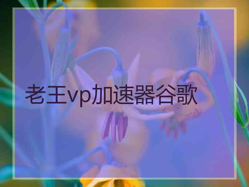 老王vp加速器谷歌