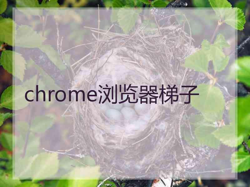 chrome浏览器梯子