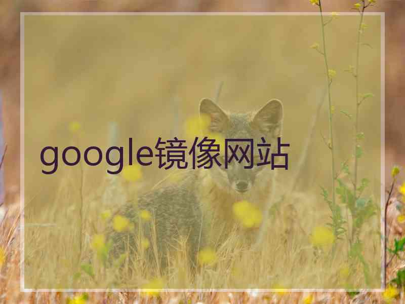 google镜像网站