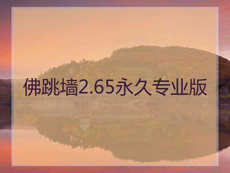 佛跳墙2.65永久专业版