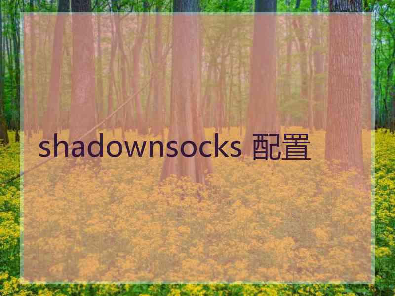 shadownsocks 配置