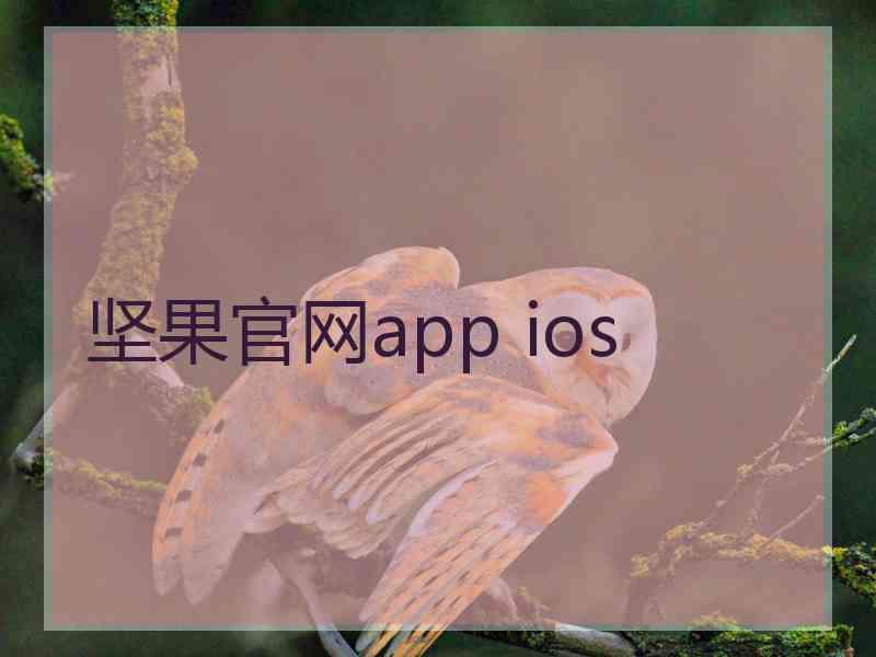 坚果官网app ios