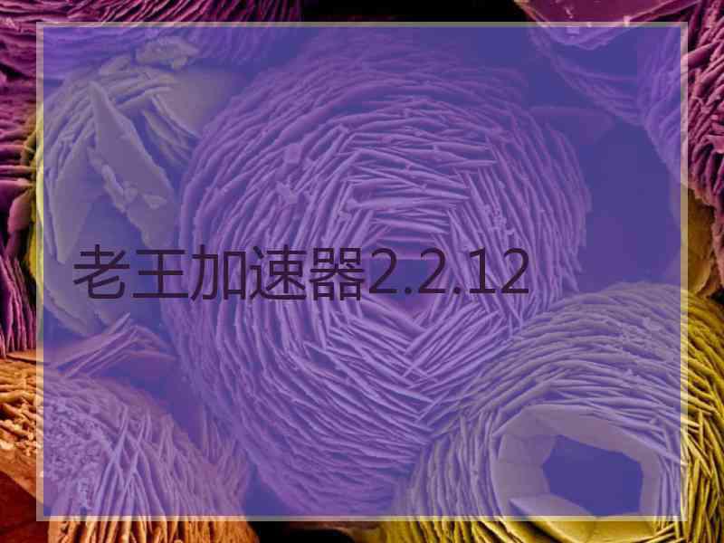 老王加速器2.2.12