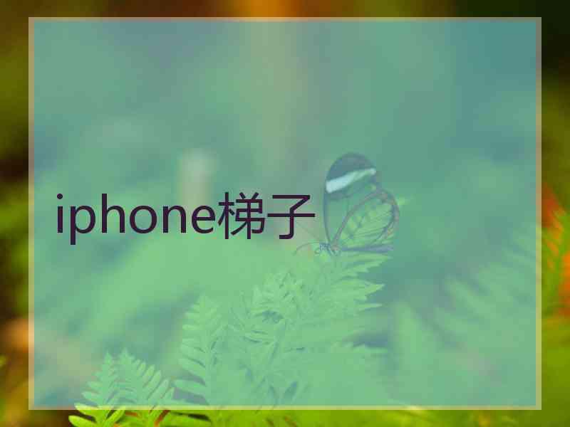 iphone梯子