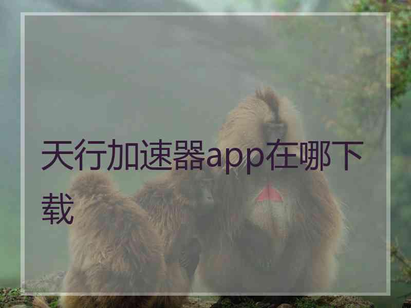 天行加速器app在哪下载