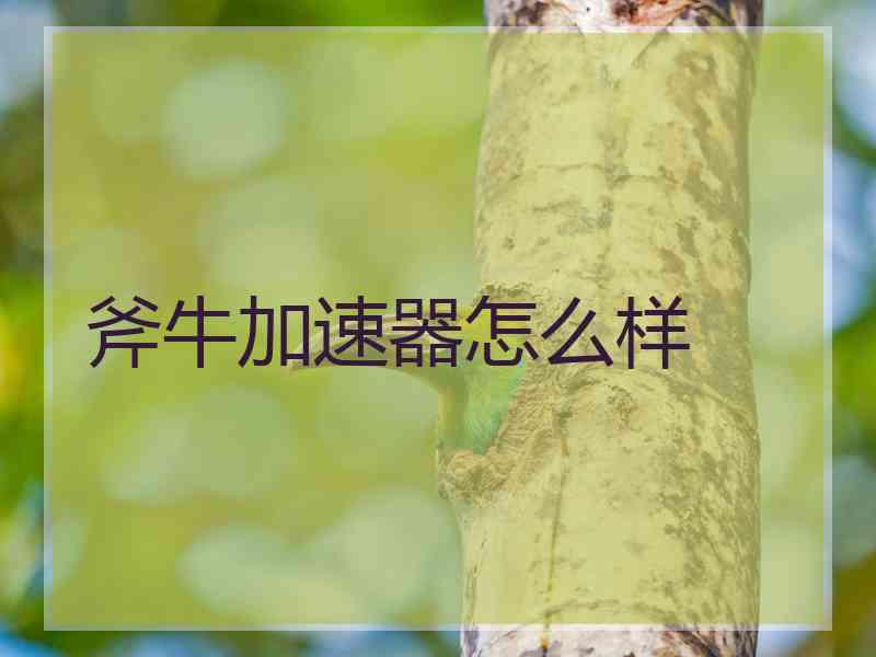 斧牛加速器怎么样