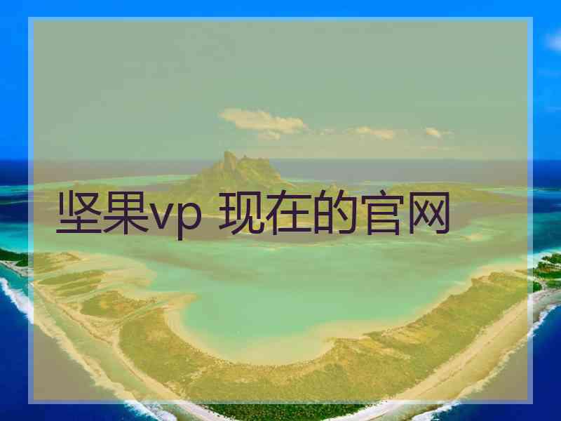 坚果vp 现在的官网